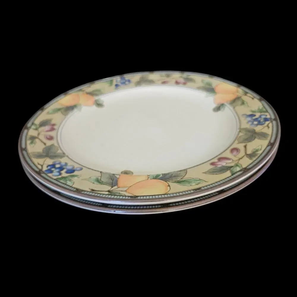 Mikasa Intaglio Garden Harvest CAC29 Dinner Plates Set of 2 Fruit Border